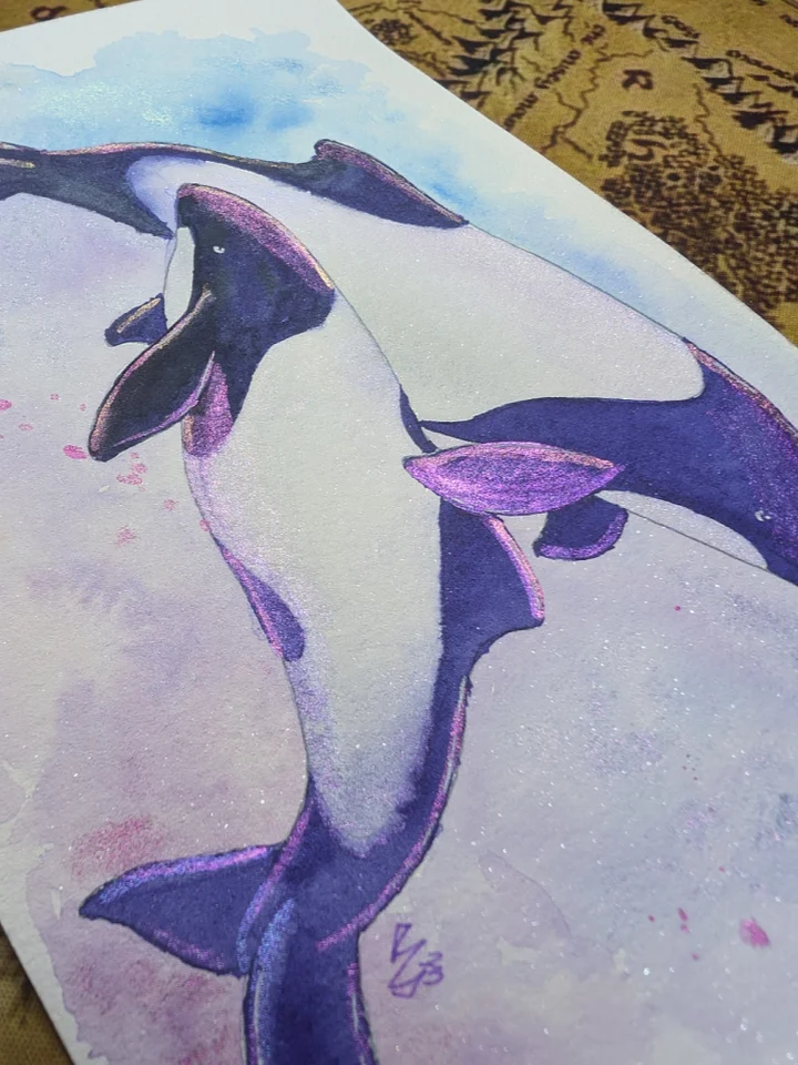 Commerson's Dolphins product image (2)