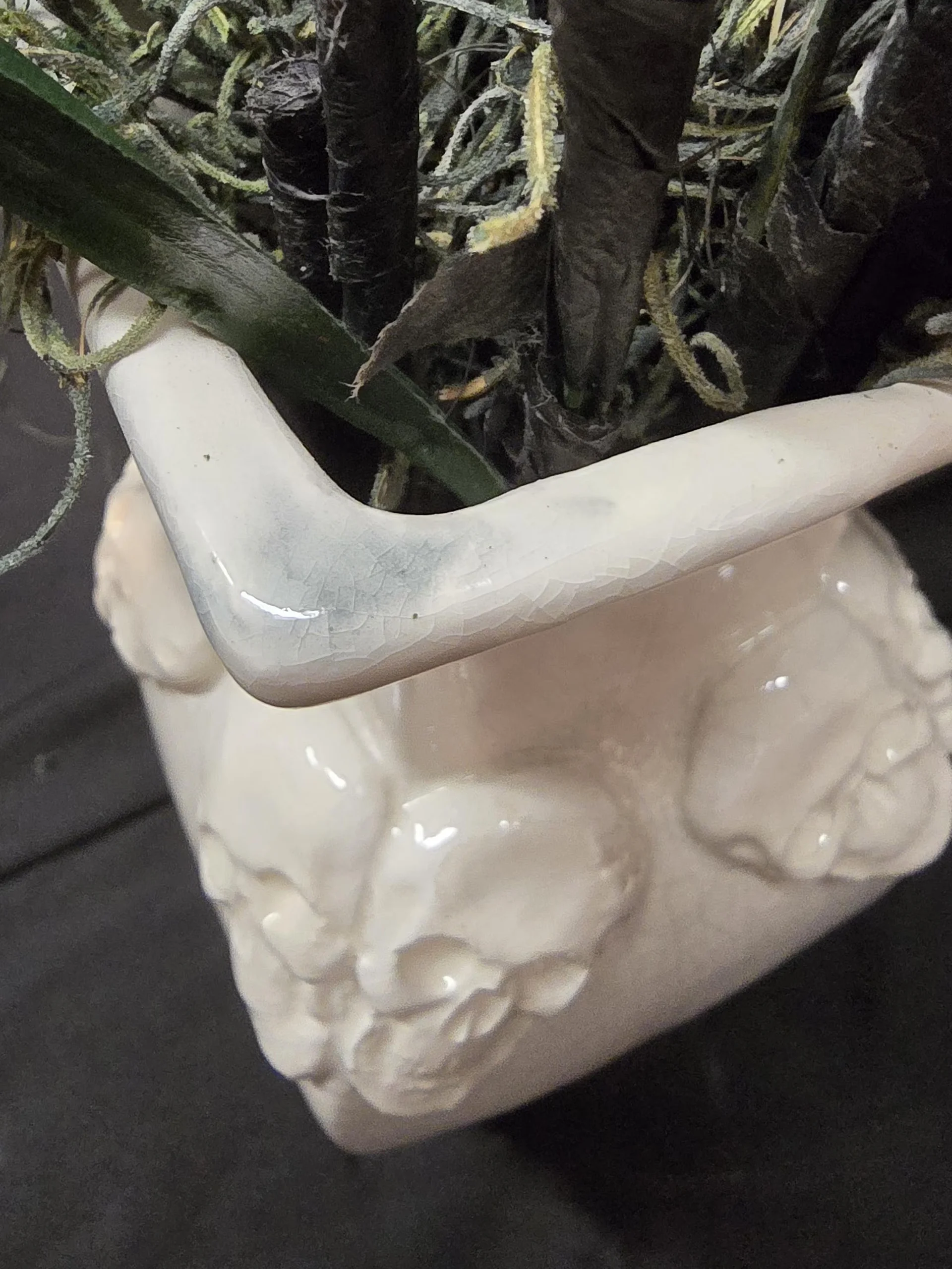 Creepy Skull Dry Vase product image (9)