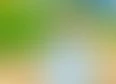 Understanding Fly Fishing's tag thumbnail