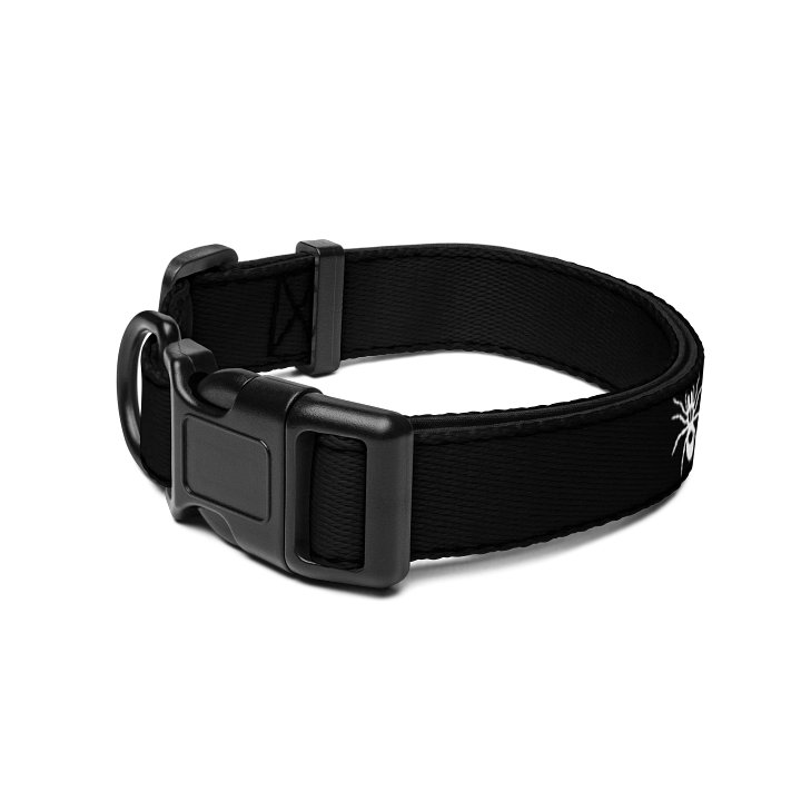 "My other dog is a tarantula" dog collar product image (2)