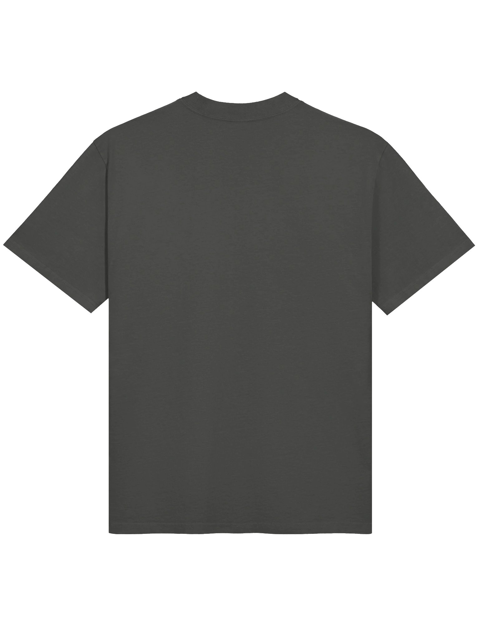 SIGNATURE Line INVADER Premium Oversized Faded T-Shirt product image (8)