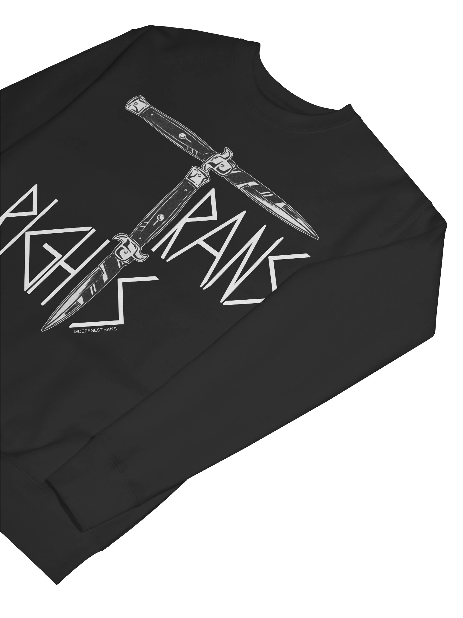 Trans Rights Sweatshirt product image (25)