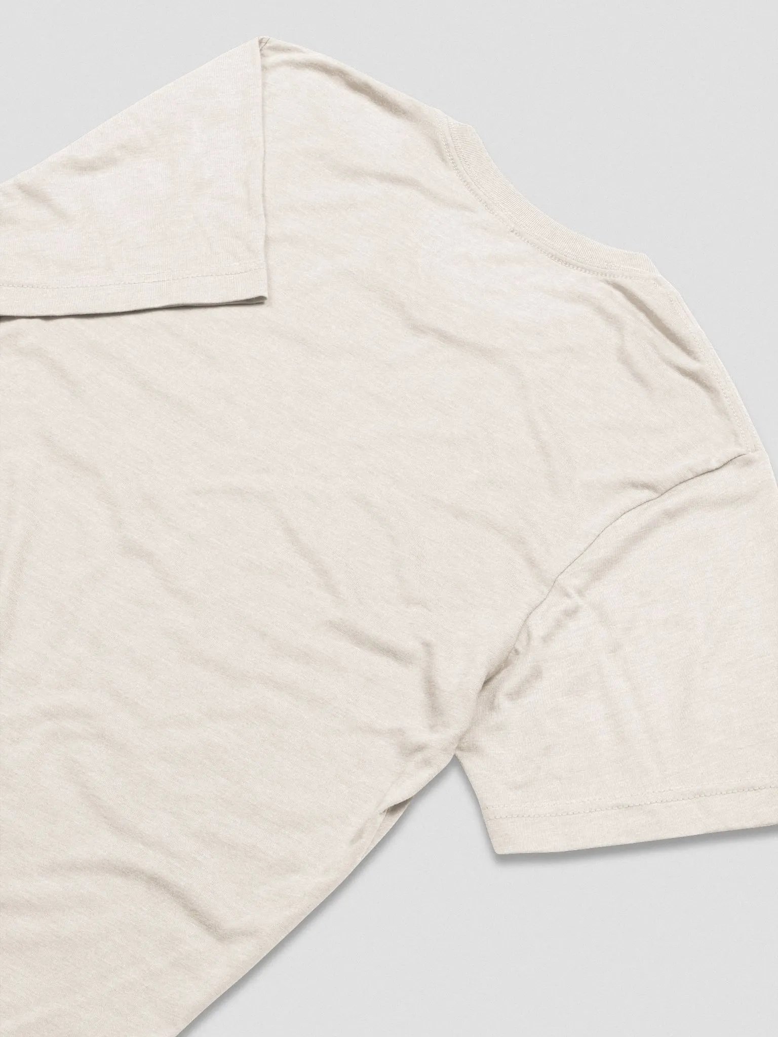 AJA X RAT - Wreathed Skull T-Shirt (Oatmeal) product image (4)