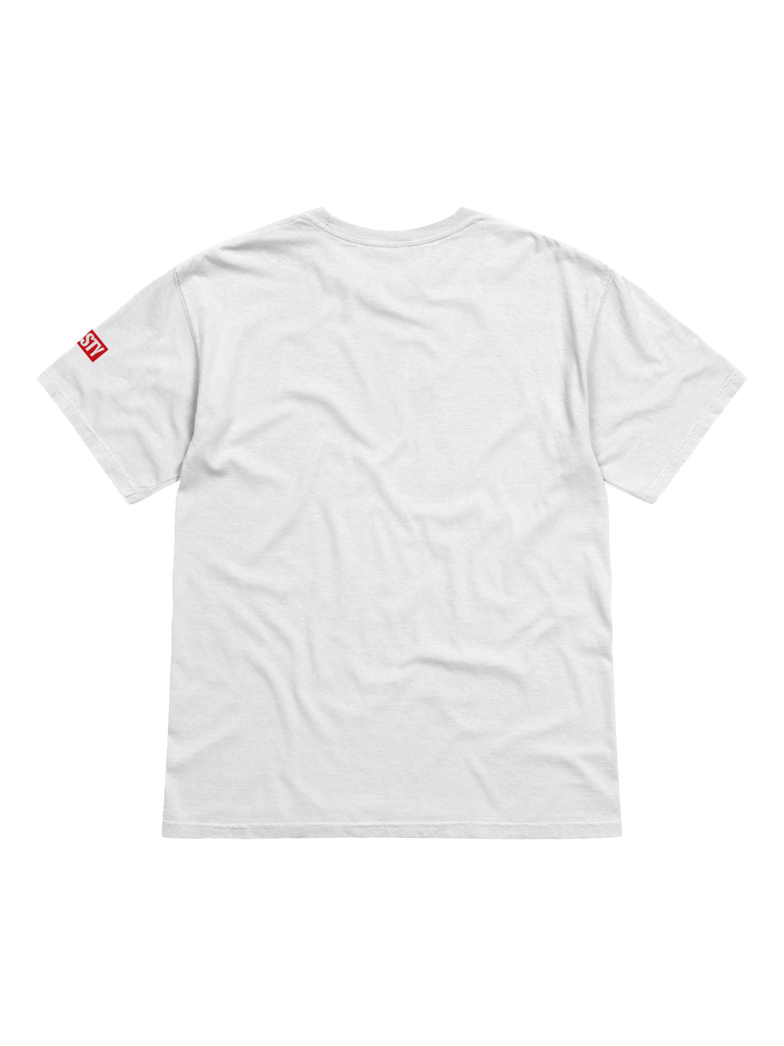 BULLIES WHITE TEE product image (2)