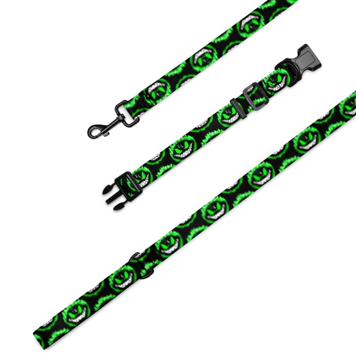 Leash & Collar product image (1)