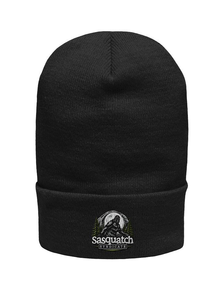 10th Anniversary Stocking Cap product image (1)