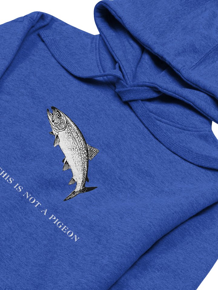 Not A Pigeon-Trout Hoodie product image (11)