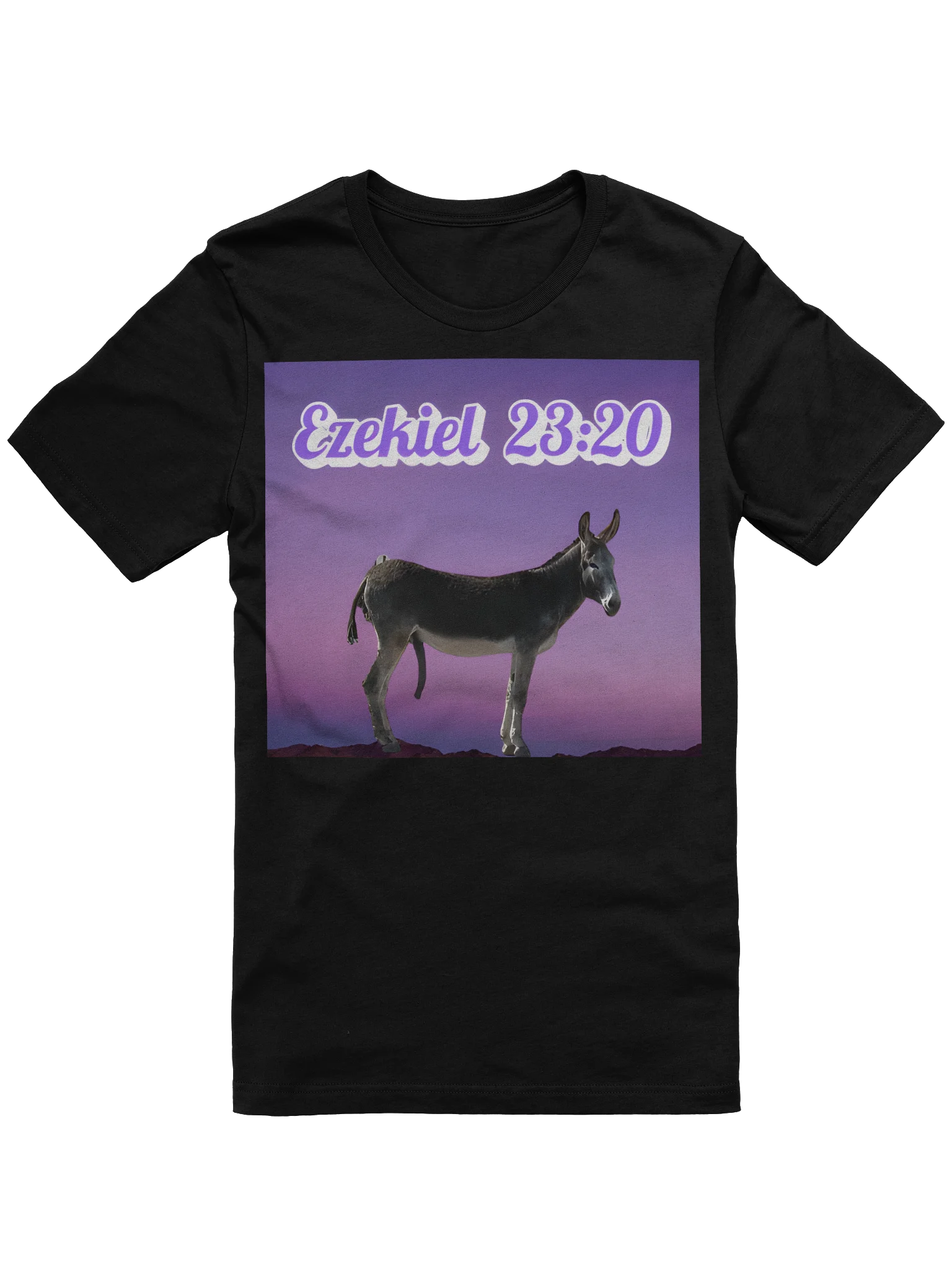 Ezekiel 23:20 Tee Shirt product image (1)