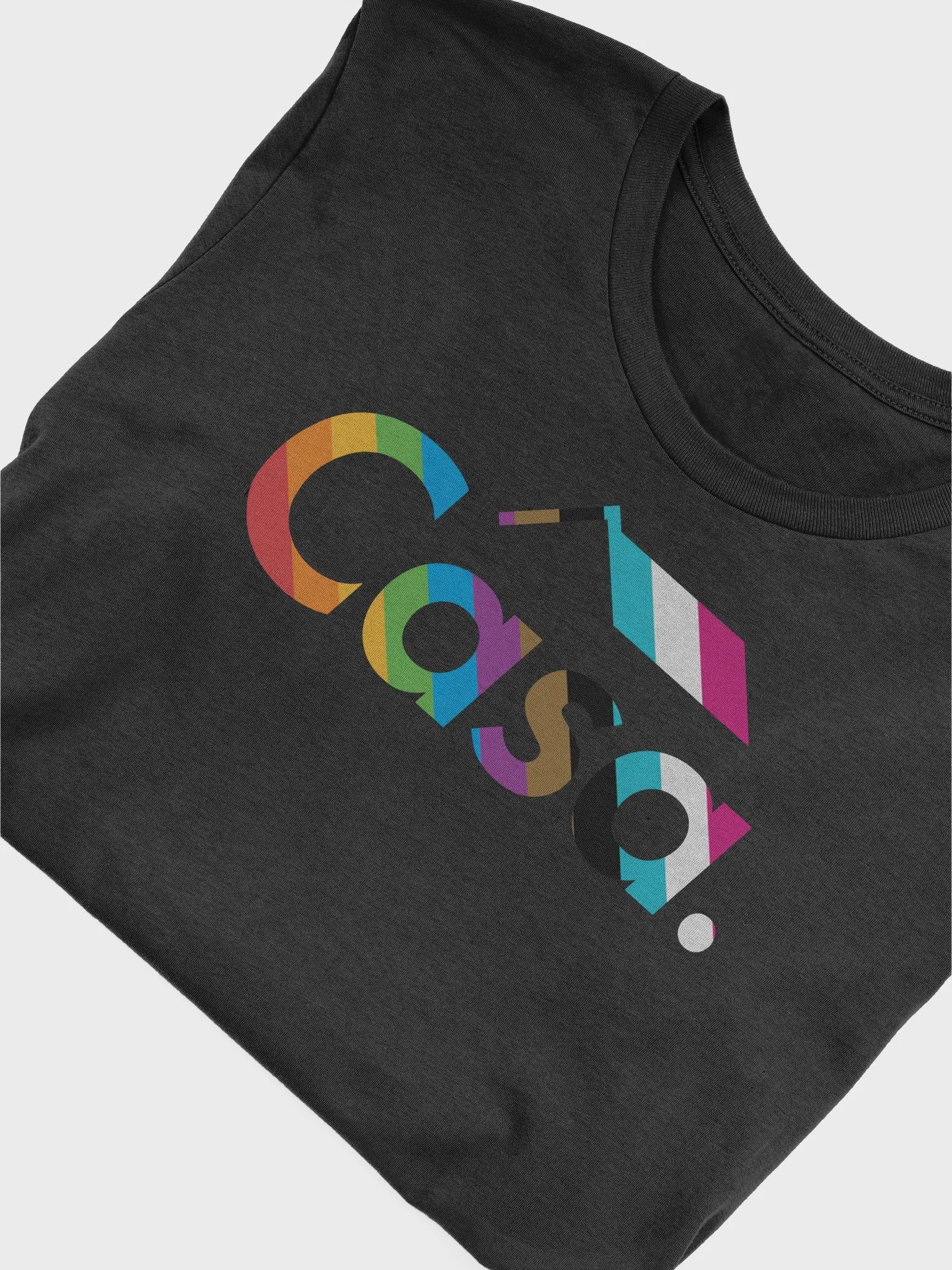 Casa Pride Tee product image (35)