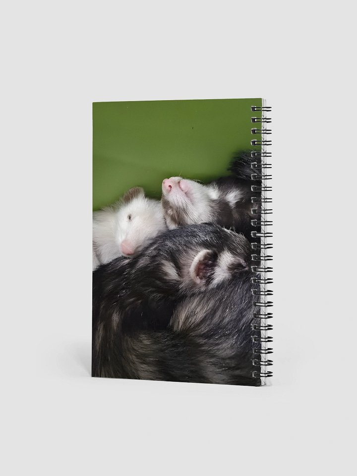 Lucy, Cici, Milly Notebook product image (2)