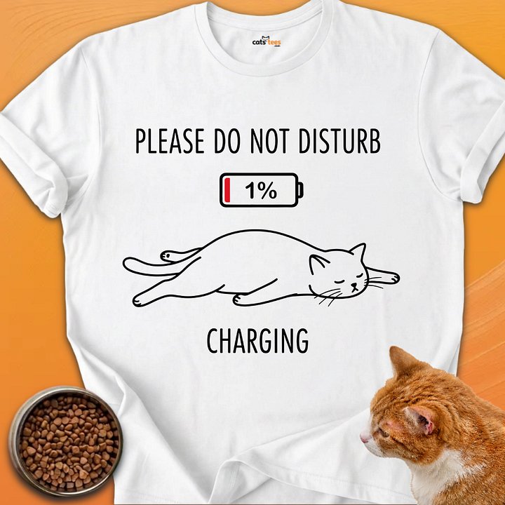 Please Do Not Distrub product image (1)