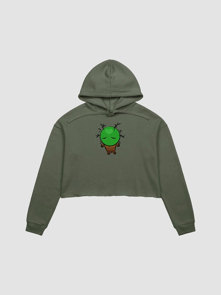 Frank Heart Fleece Crop Hoodie product image (1)