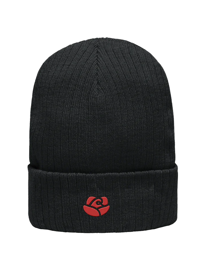 Atlantis Ribbed Knit Beanie product image (2)