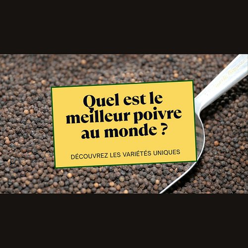 Quel est le meilleur poivre du monde ? 🌍🖤

C'est LA question que tout amateur se pose un jour. Après plus de 10 ans à parcour...