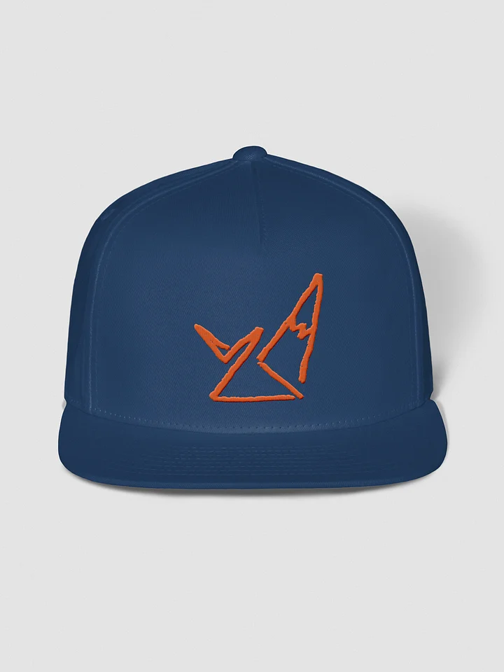 amazin snapback product image (1)