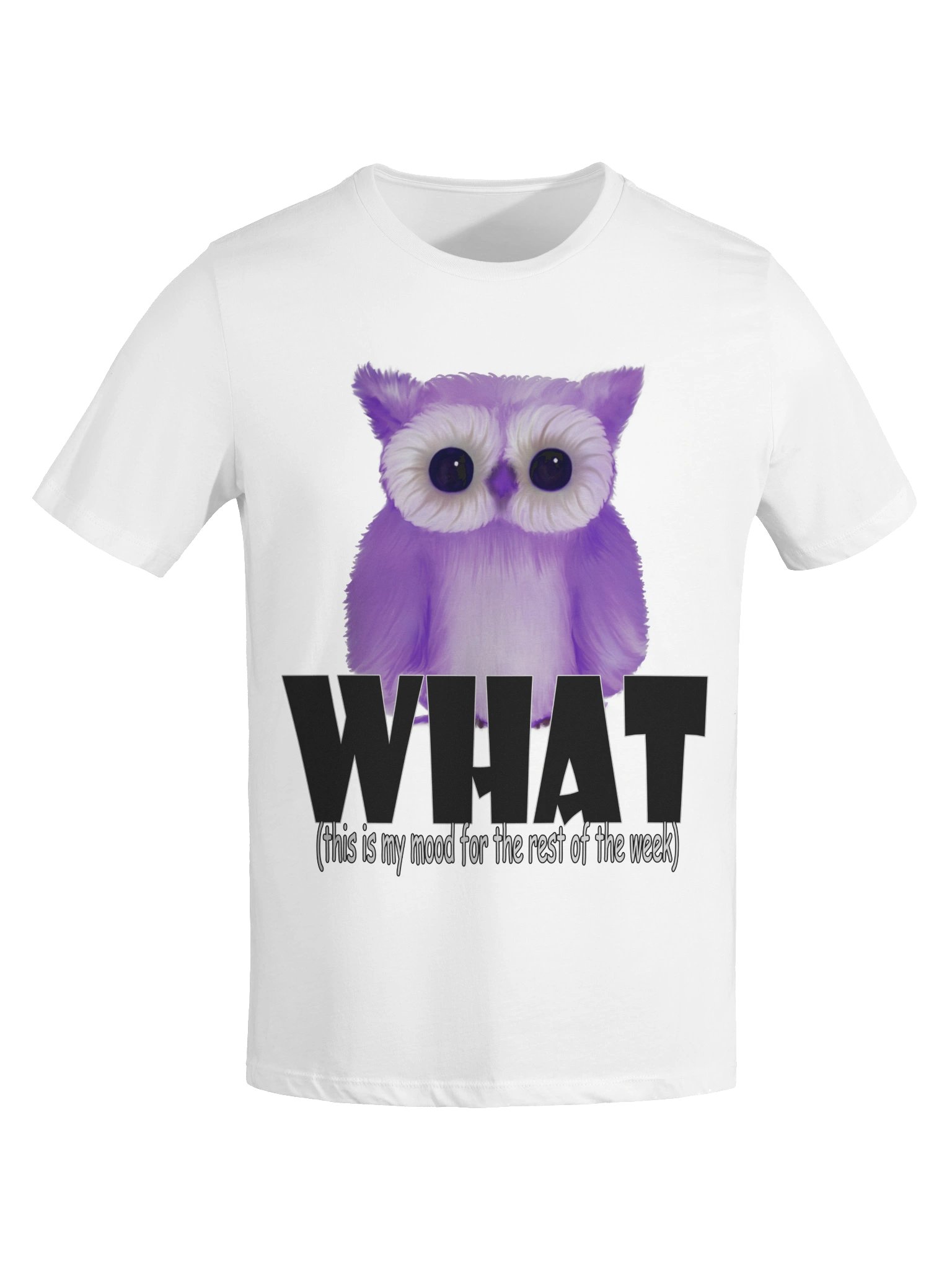 Owl "WHAT" T-Shirt. Women's Bella+Canvas Supersoft Relaxed-fit T-Shirt product image (4)