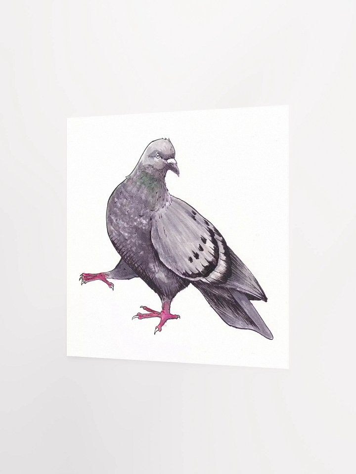 Pigeon Print product image (2)