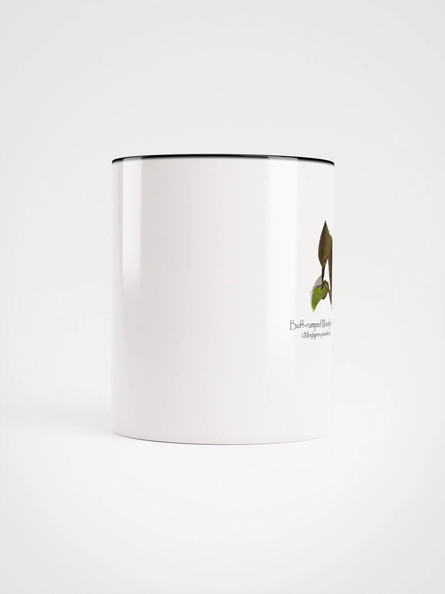 Buff-rumped Woodpecker mug product image (49)