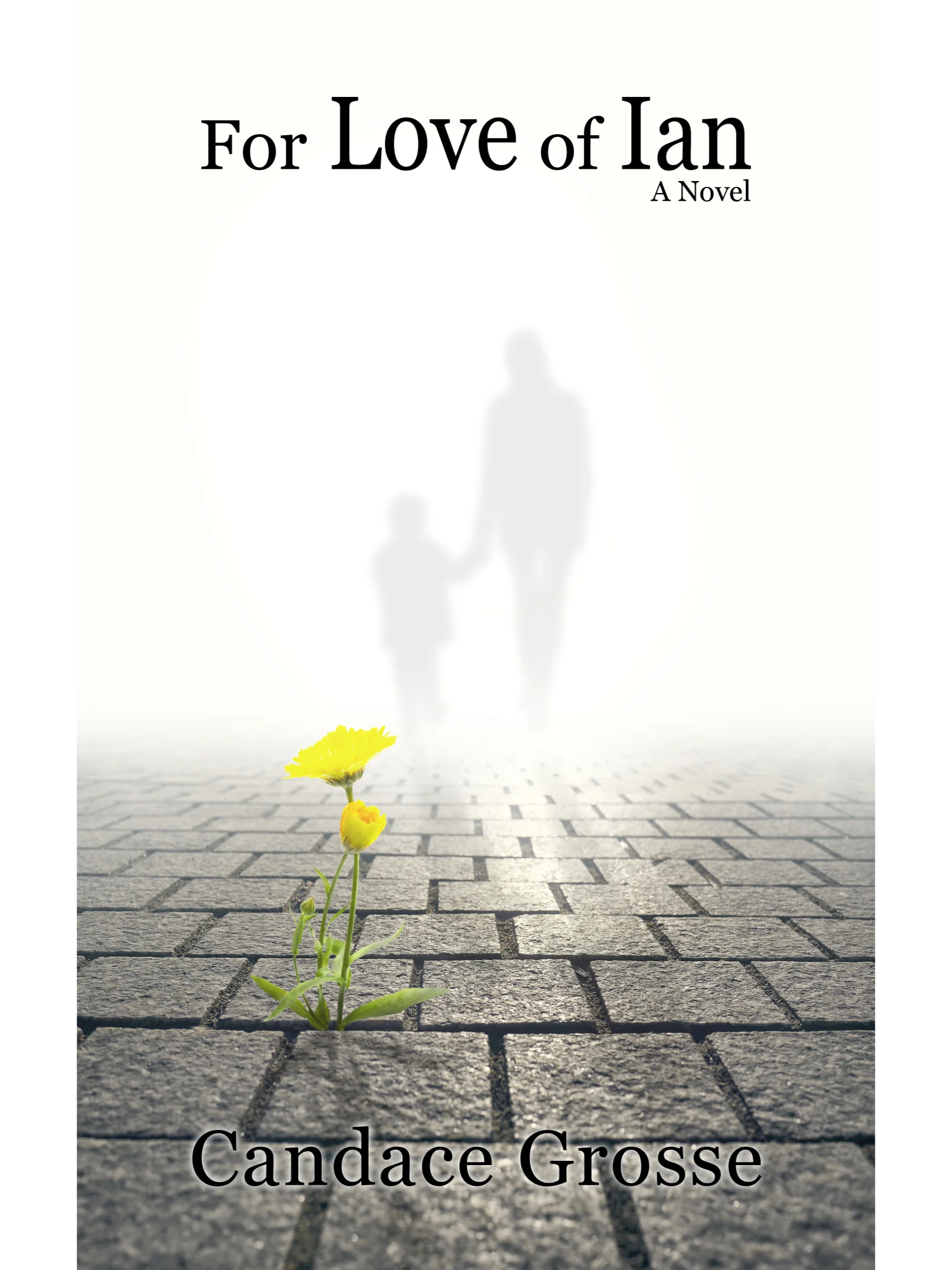 For Love of Ian: A Novel product image (2)