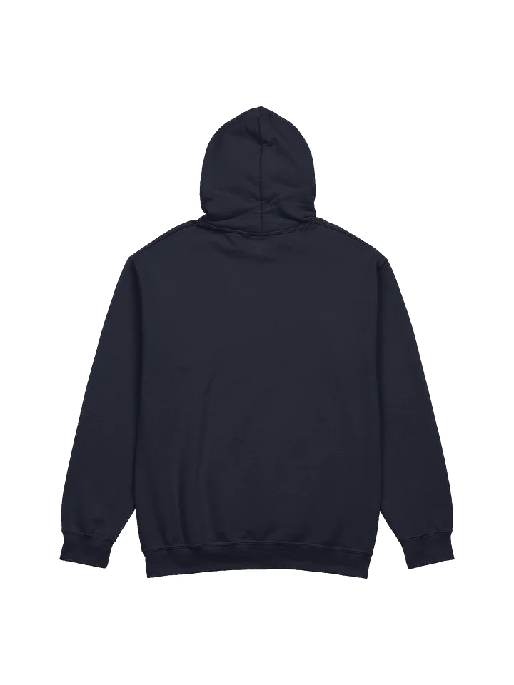 Reconnect Sweatshirt product image (4)