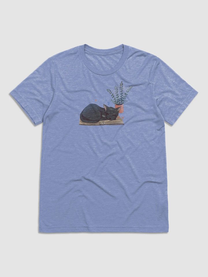 Locke Bella+Canvas Triblend Short Sleeve T-Shirt product image (1)