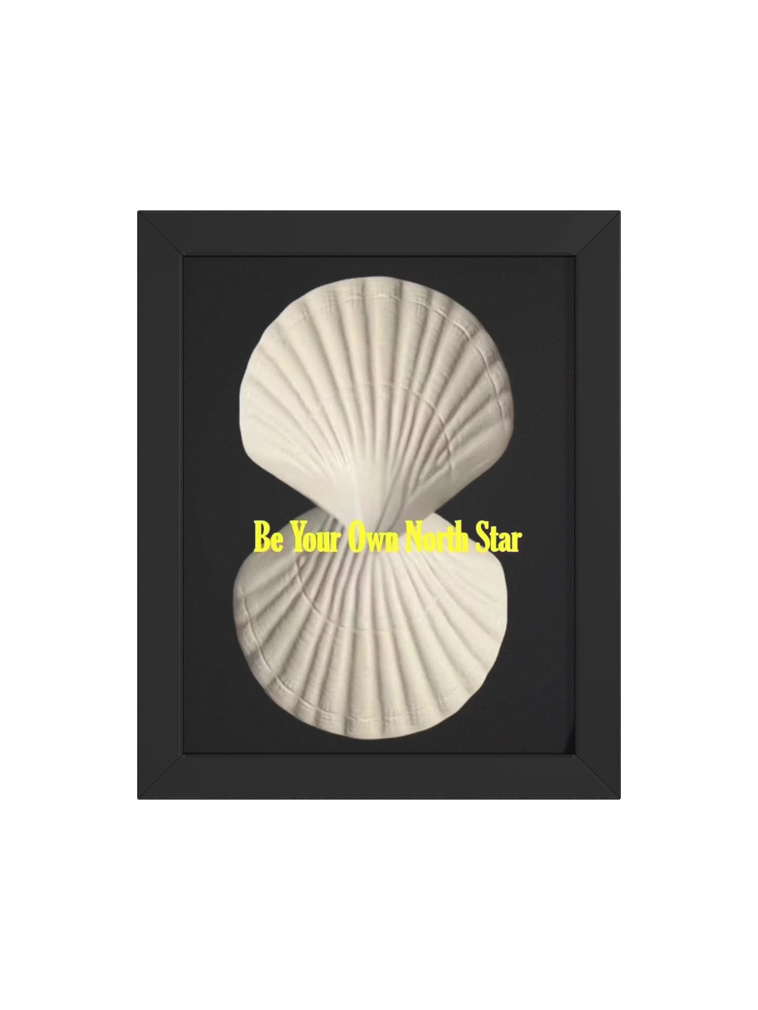 North Star product image (24)