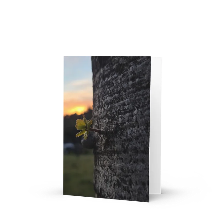 Sunset Oak Sprout Greeting Card product image (1)