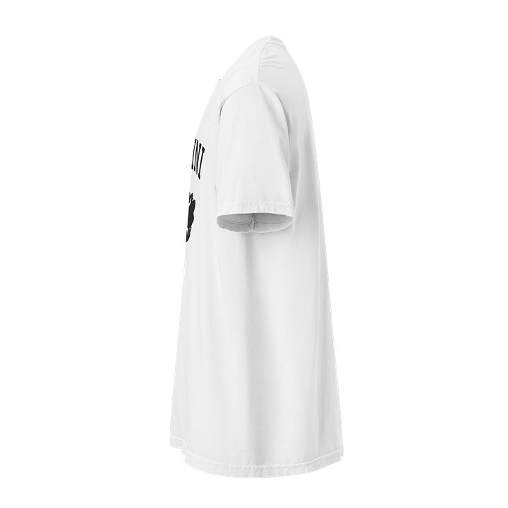 Gemini Zodiac T-Shirt — Spiritual Soul Psyche Collection product image (38)