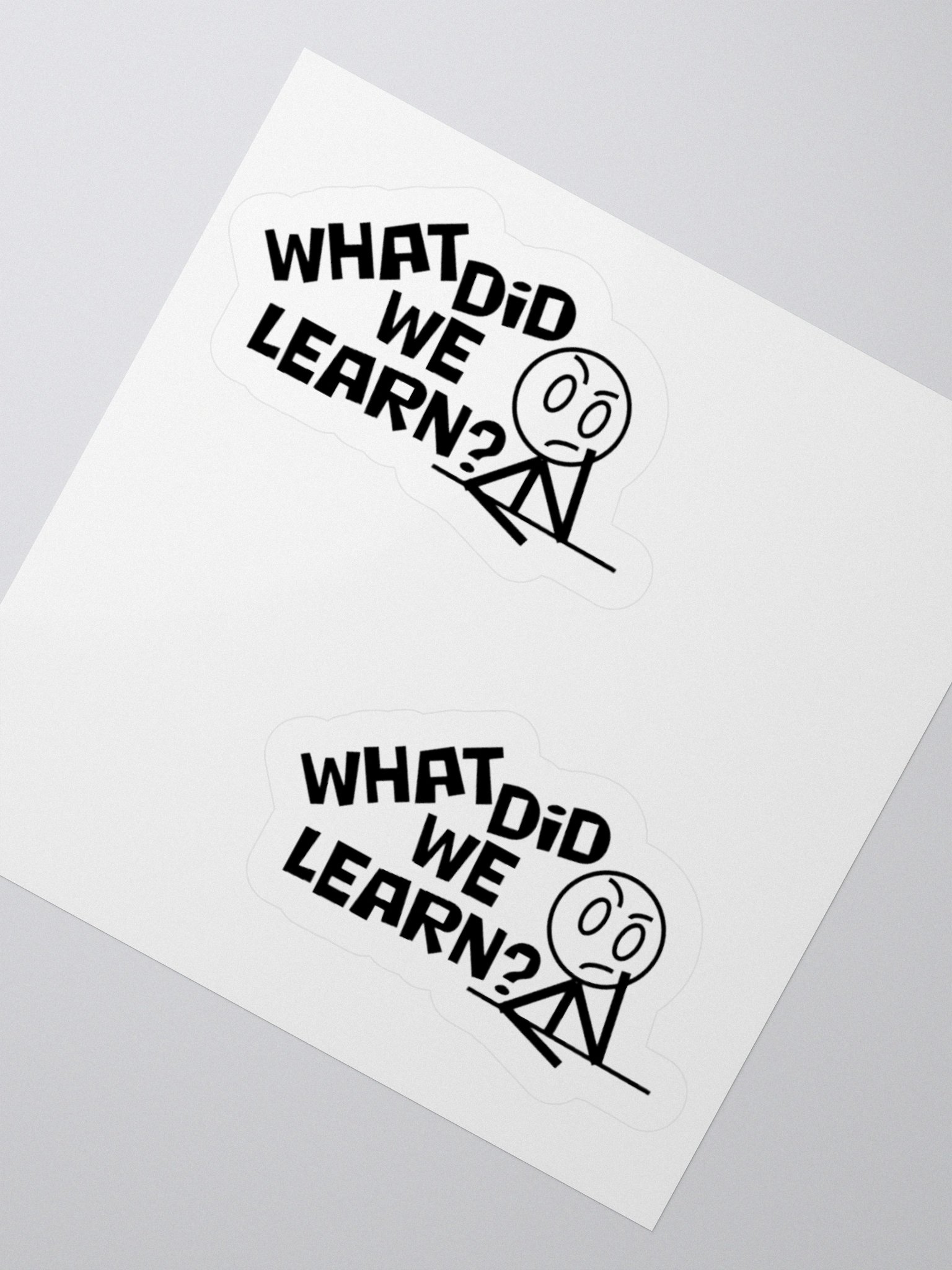 What did we learn stickers product image (2)