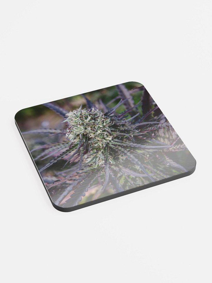 Royal Purple Cultivated Coaster product image (2)