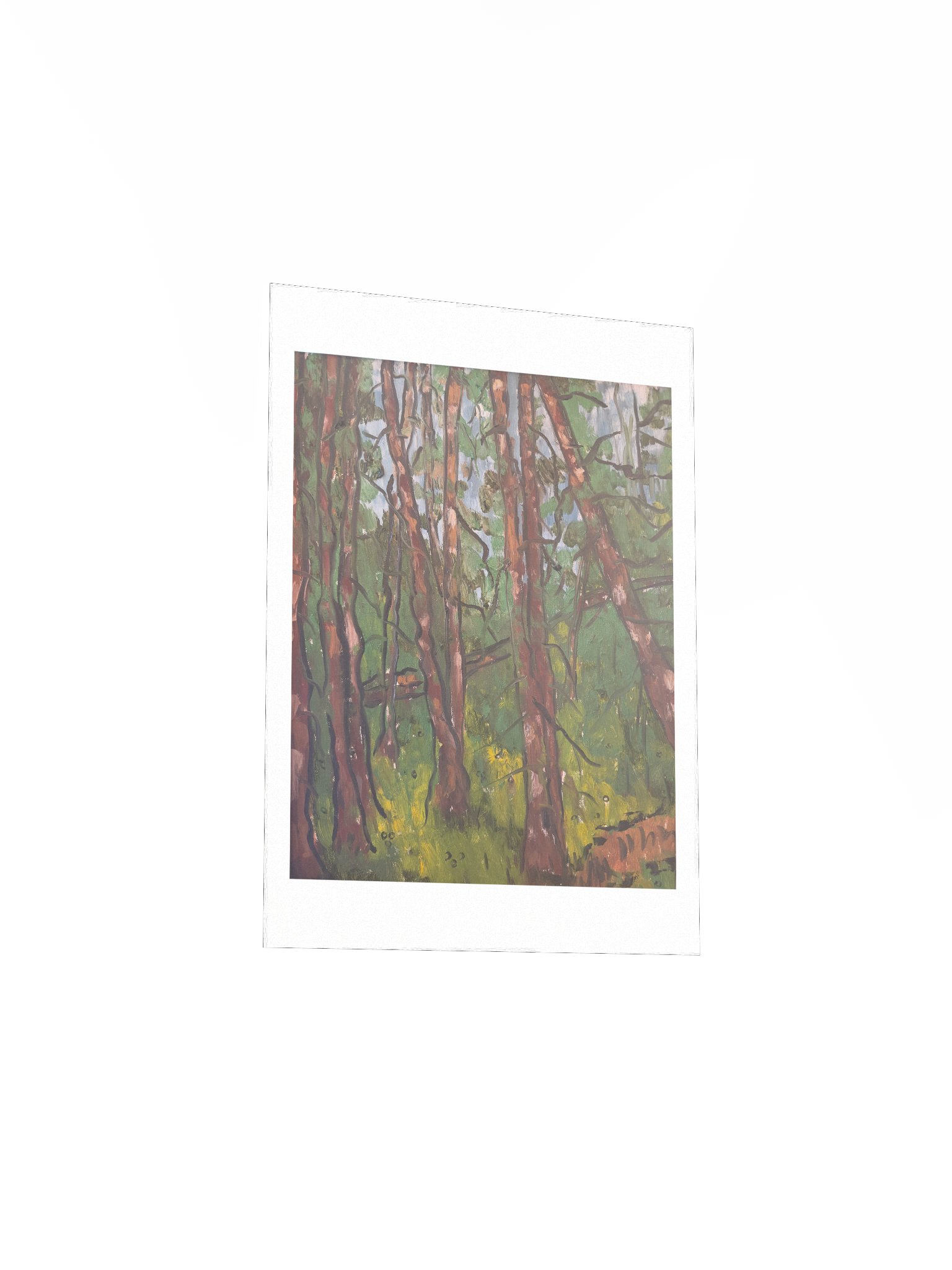Chambers Lake Print product image (16)