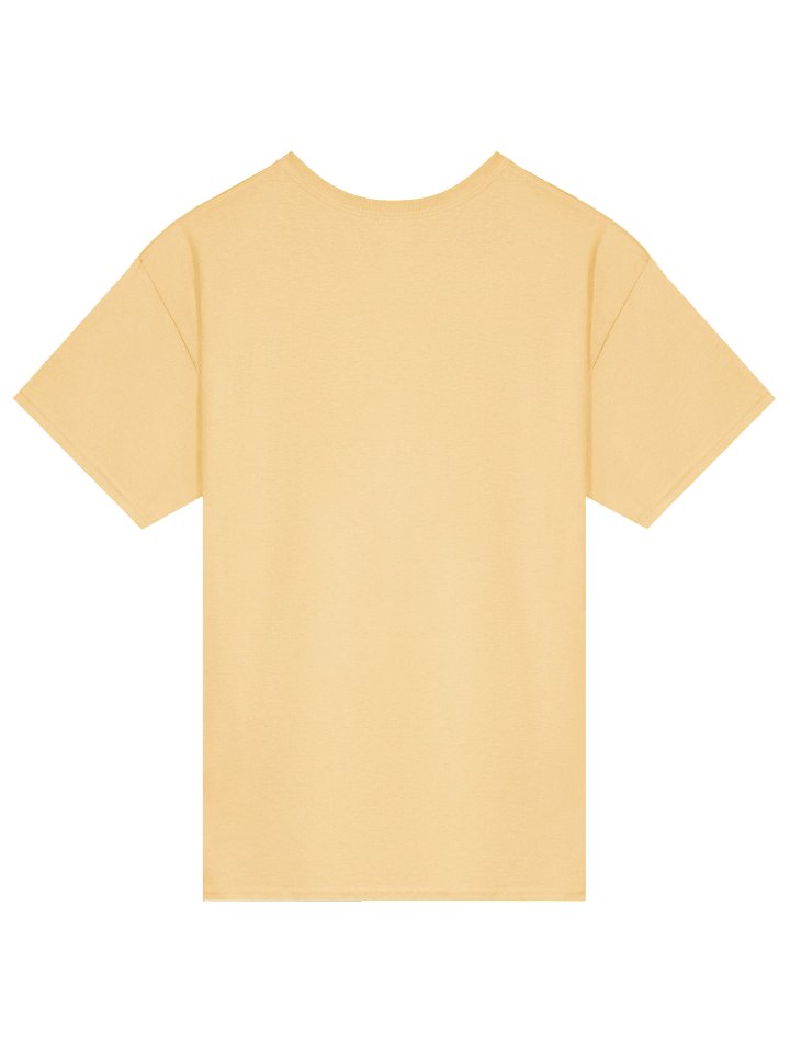plouj33 x RespawnRaccoon T-Shirt product image (2)