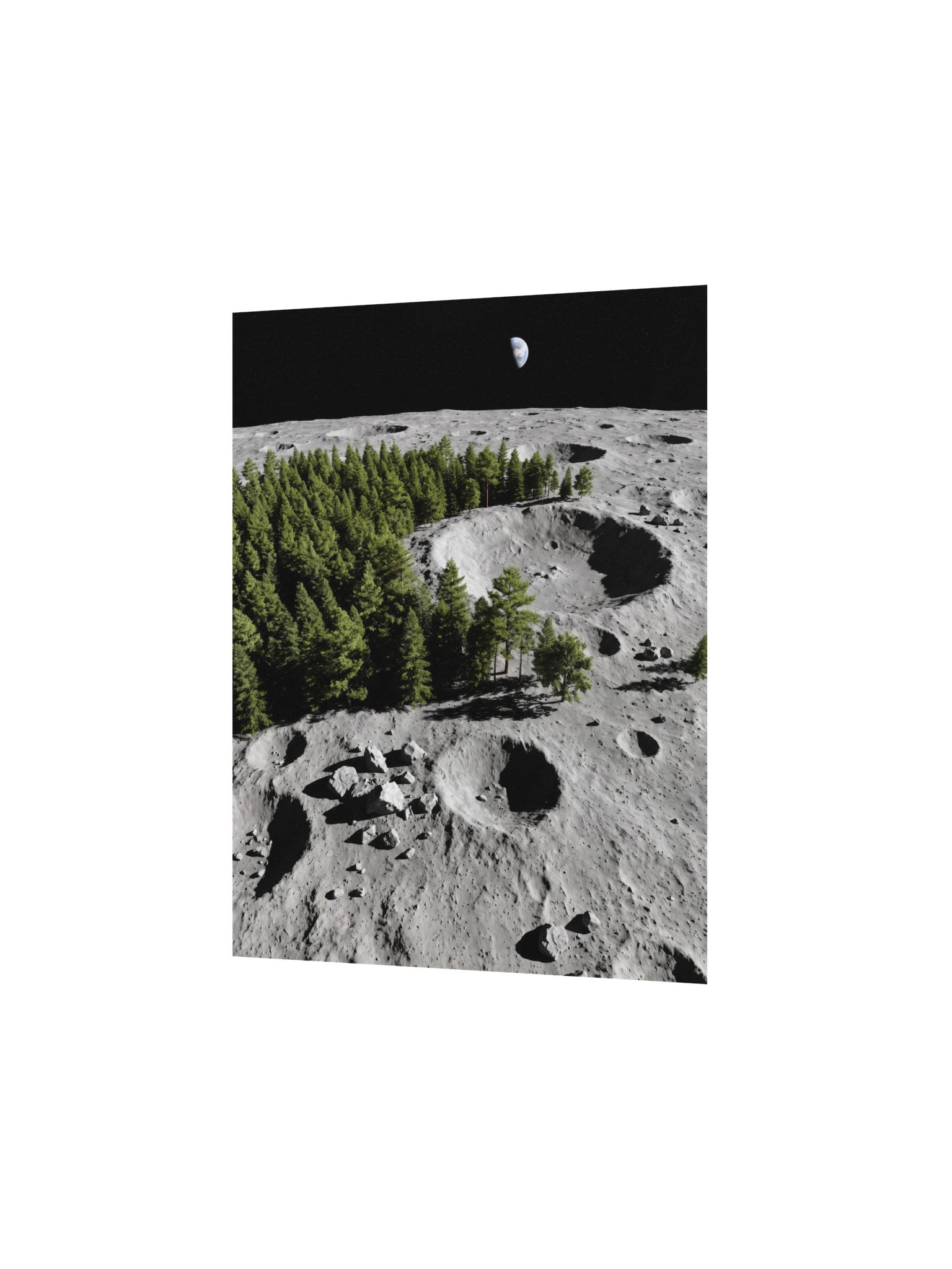 Can't See The Moon For The Trees product image (2)