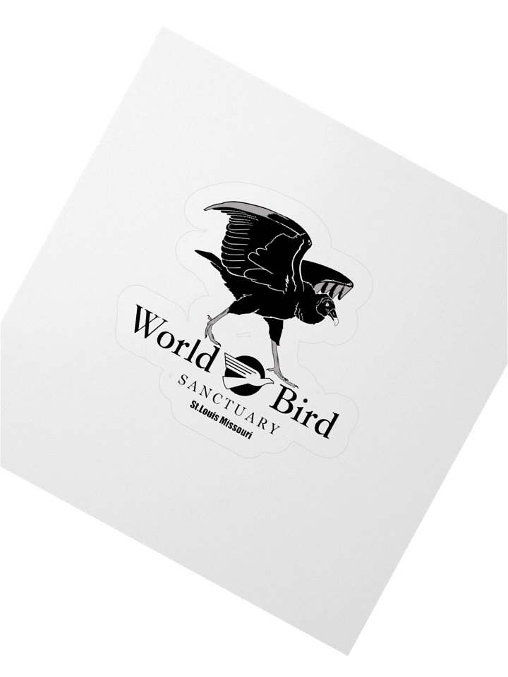 Cash Black Vulture Sticker product image (4)