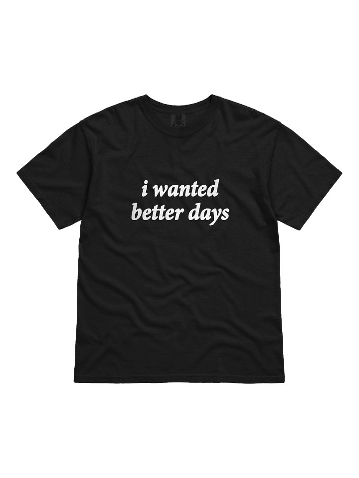 i wanted better days embroidered tee product image (2)