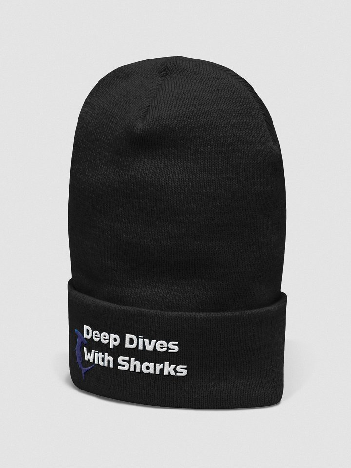 DDWS cuffed beanie product image (2)