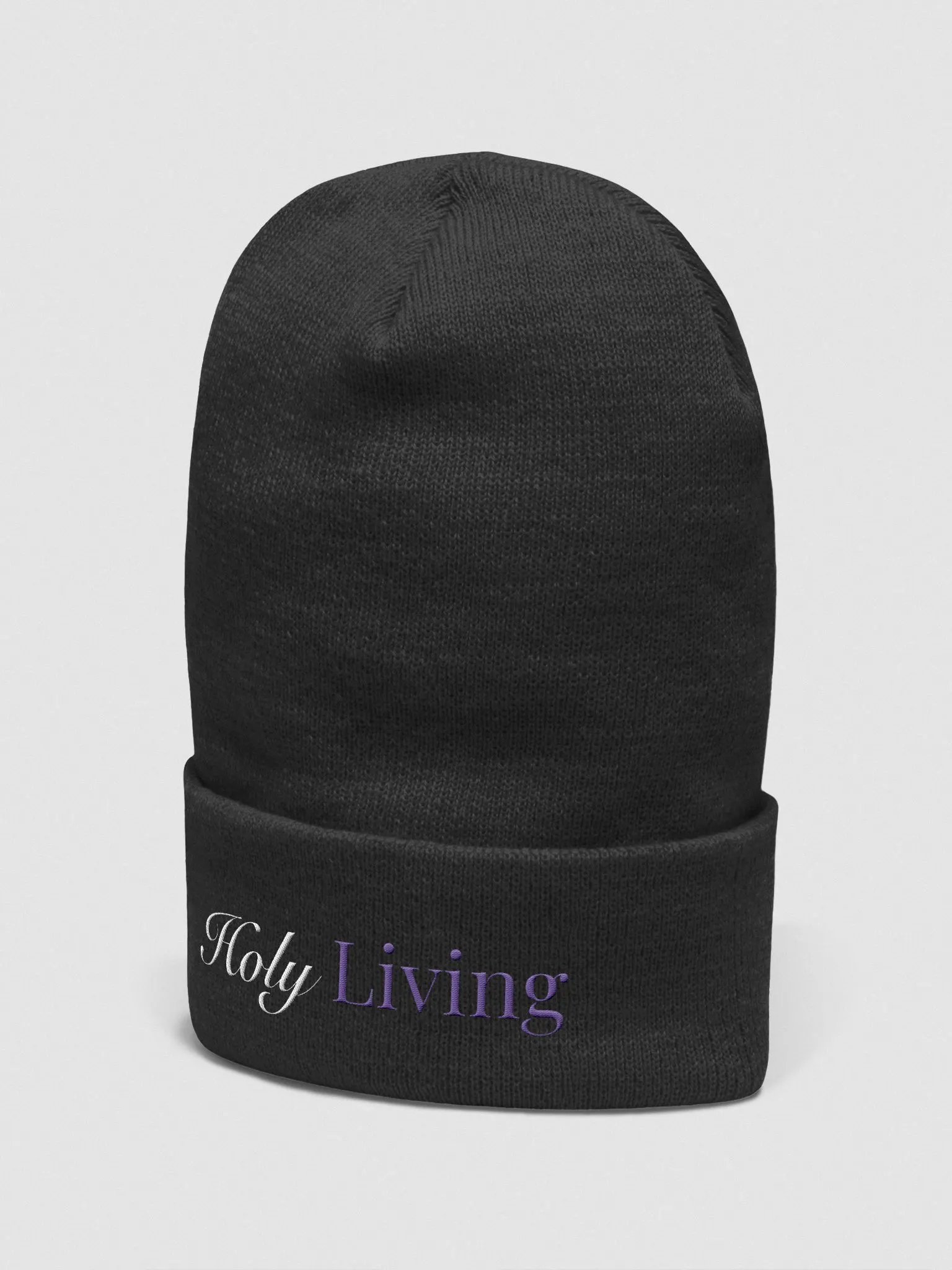 Holy Living Beanie product image (7)