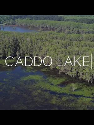 Boat flips only with @Zach🦆 #fyp #fishing #bass #edit #caddolake 