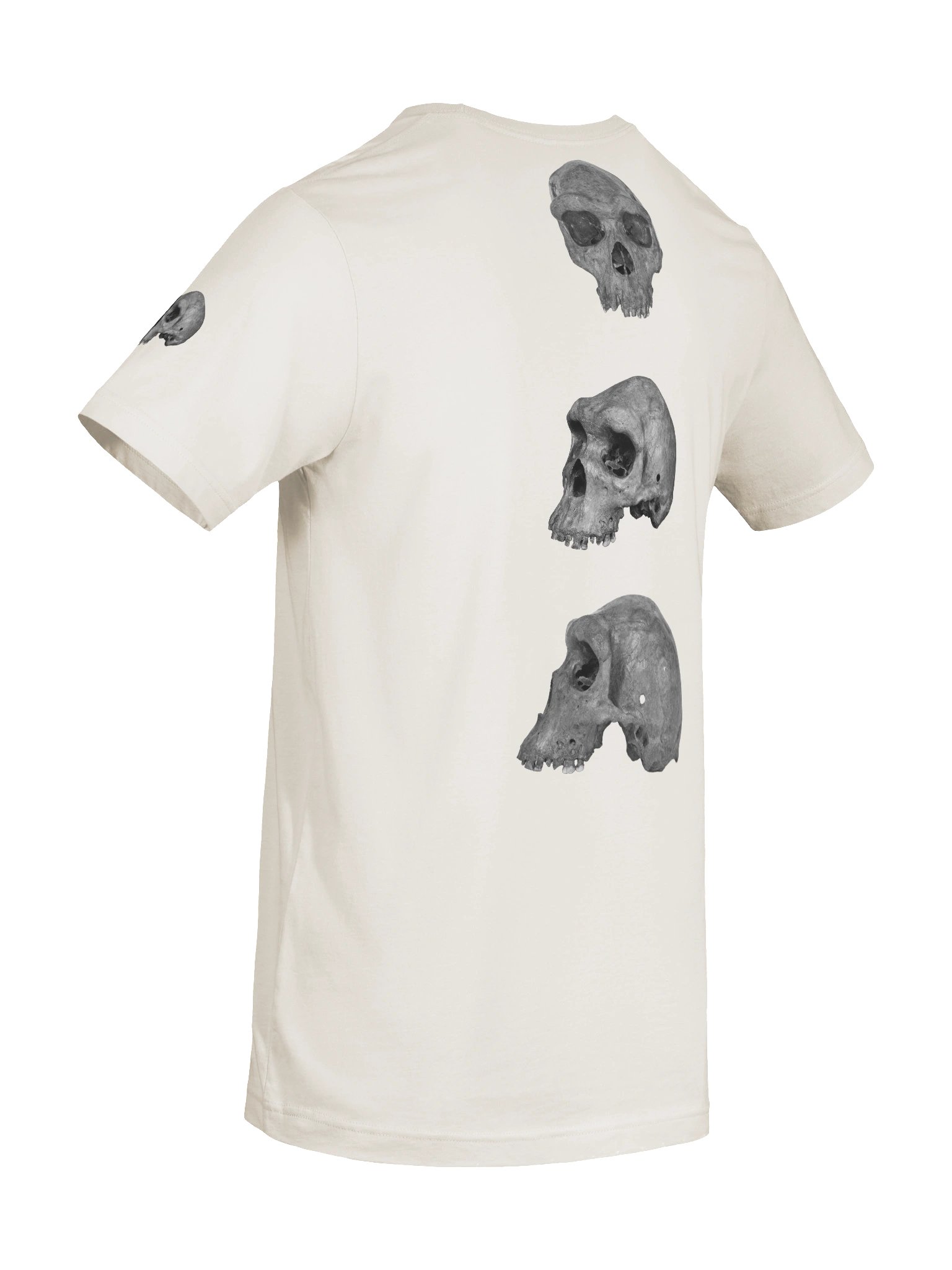 Heidelbergensis Fossil Skull T-Shirt Light product image (56)
