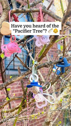 I just love this. A pacifier tree in Boro Park is the cutest thing ever!