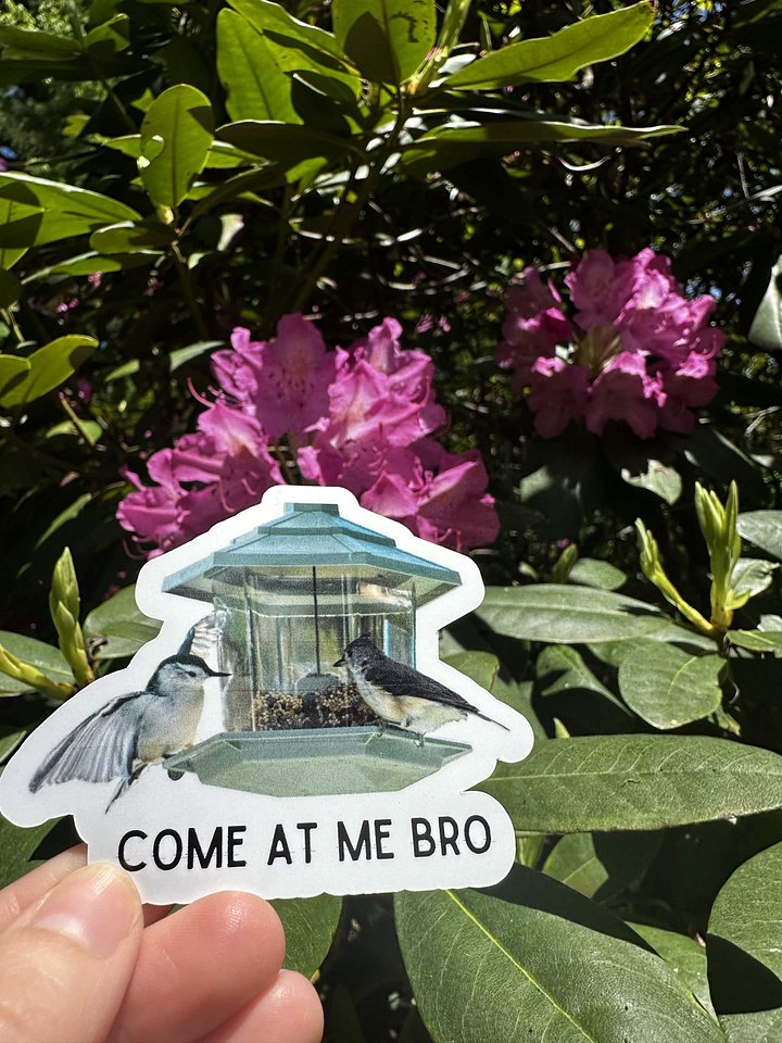 Come At Me Bro Funny Bird Sticker product image (2)