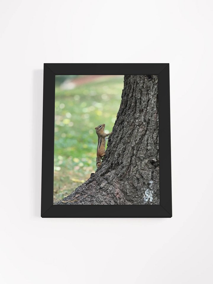 Squirrel print product image (4)
