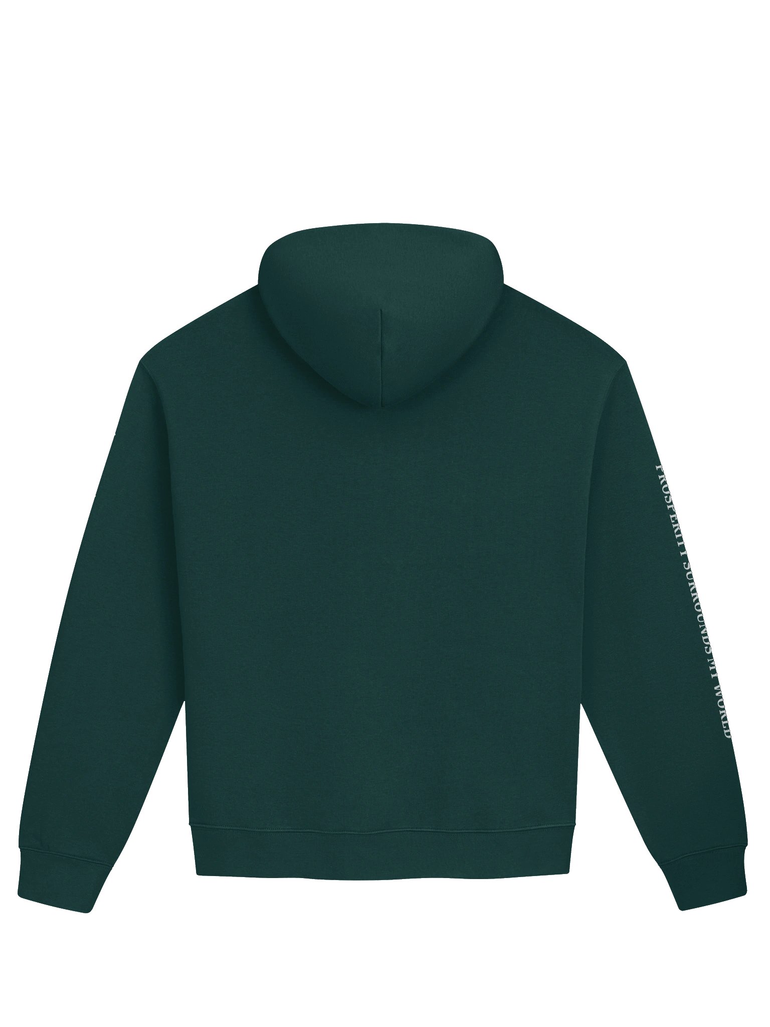 Unisex Oversized Hoodie - 888 - Prosperity surrounds my world product image (8)