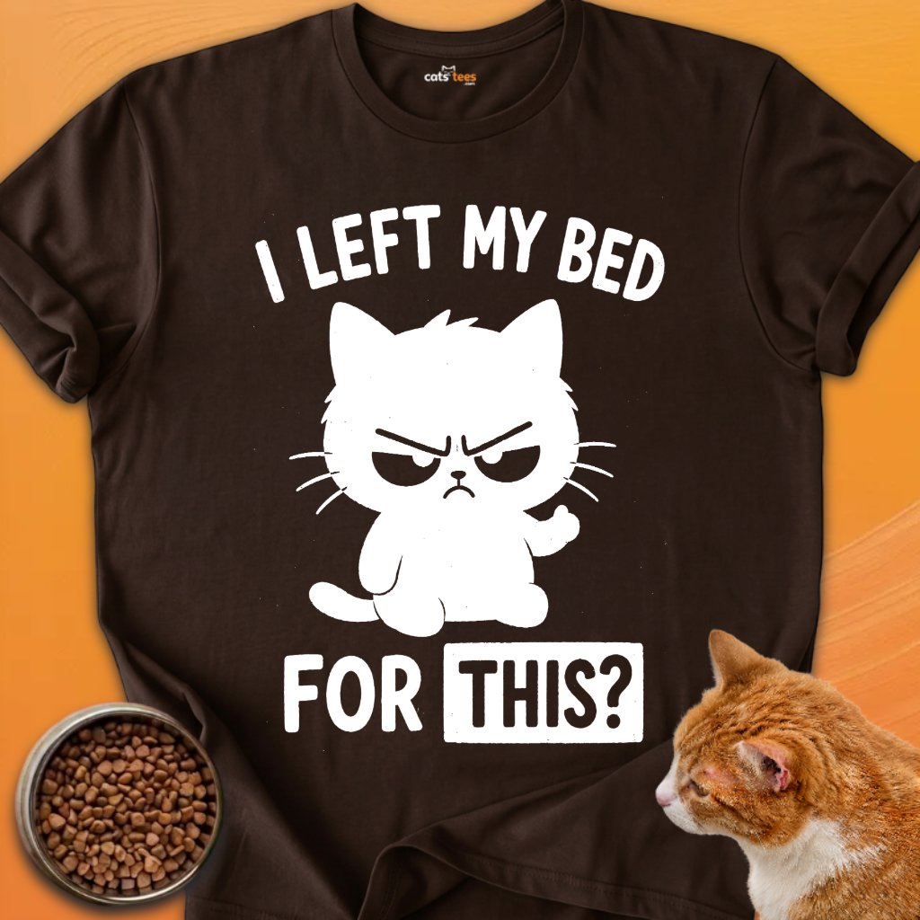 I Left My Bed For This? product image (2)