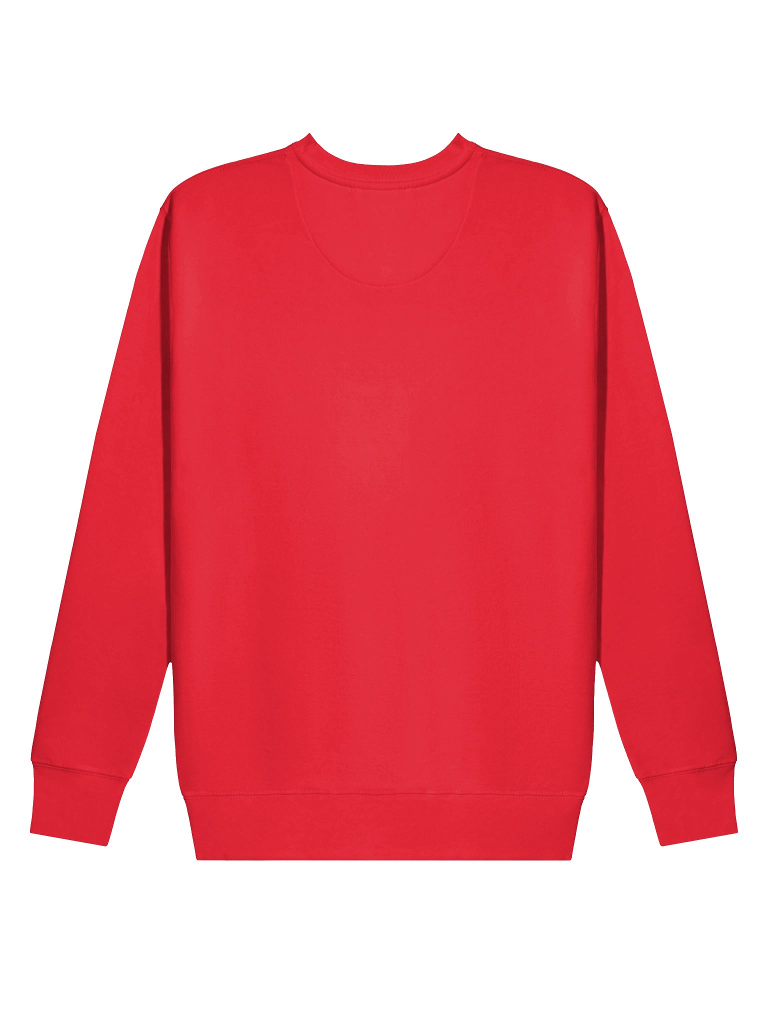 PAWSITIVELY MERRY Sweatshirt product image (5)