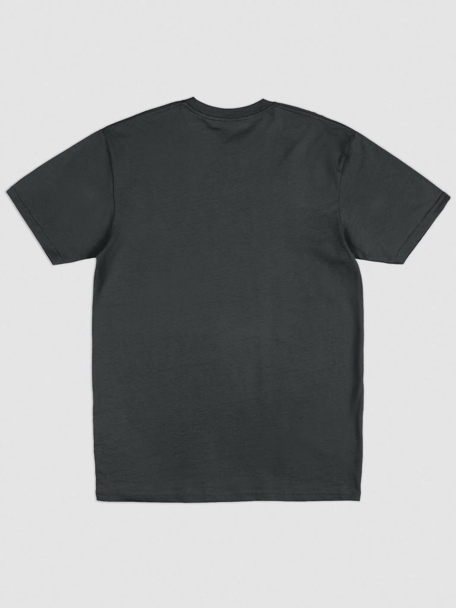Extropic Heavyweight Tee product image (5)