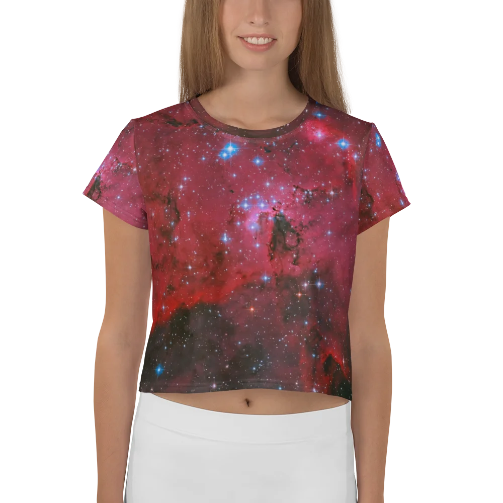 LH 95 Crop Top product image (1)