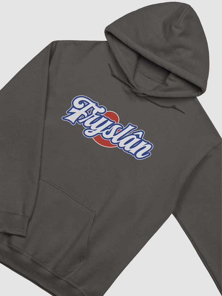 Fryslân - Hoodie product image (4)