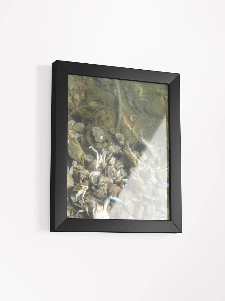 Murky Marine Life Framed Poster product image (2)