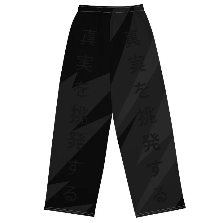 PTT Japanese Wide Leg Pants product image (2)